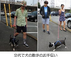 交代で犬の散歩のアルバイト